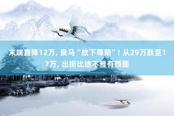 末端直降12万, 良马“放下尊荣”! 从29万跌至17万, 出街比途不雅有颜面