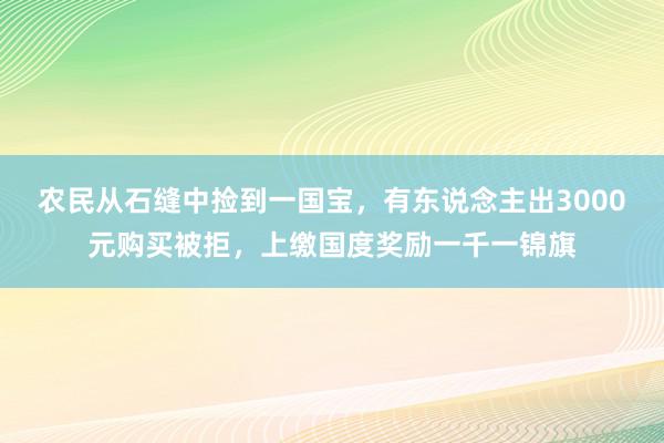 农民从石缝中捡到一国宝，有东说念主出3000元购买被拒，上缴国度奖励一千一锦旗