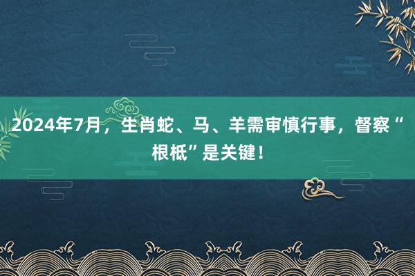 2024年7月，生肖蛇、马、羊需审慎行事，督察“根柢”是关键！