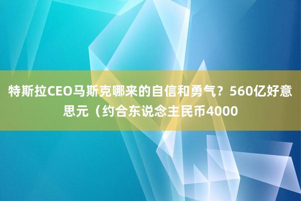 特斯拉CEO马斯克哪来的自信和勇气？560亿好意思元（约合东说念主民币4000