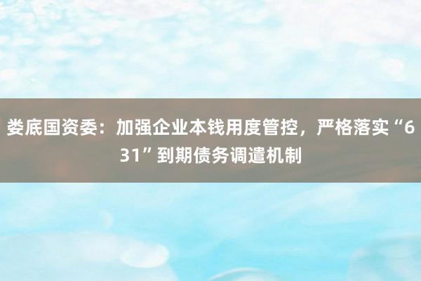 娄底国资委：加强企业本钱用度管控，严格落实“631”到期债务调遣机制