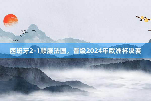 西班牙2-1顺服法国，晋级2024年欧洲杯决赛