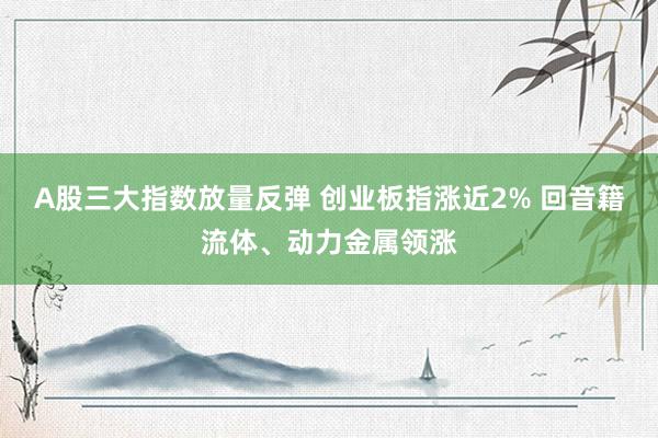 A股三大指数放量反弹 创业板指涨近2% 回音籍流体、动力金属领涨