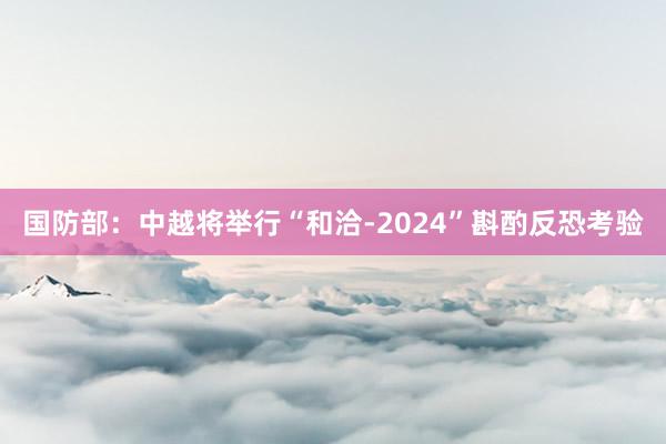 国防部：中越将举行“和洽-2024”斟酌反恐考验