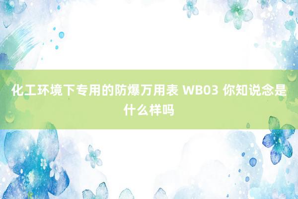 化工环境下专用的防爆万用表 WB03 你知说念是什么样吗