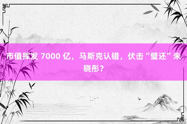 市值挥发 7000 亿，马斯克认错，伏击“璧还”朱晓彤？