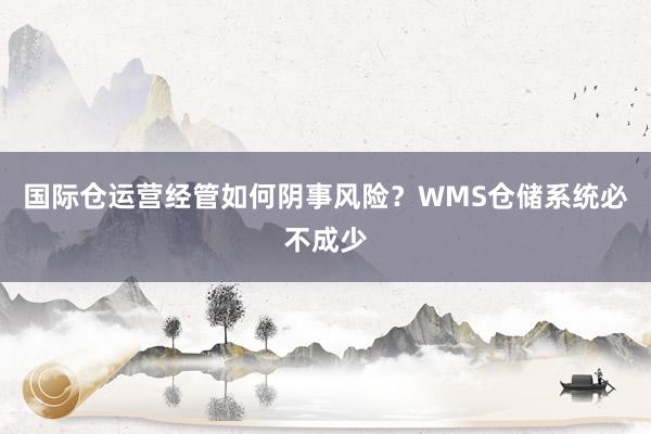 国际仓运营经管如何阴事风险？WMS仓储系统必不成少