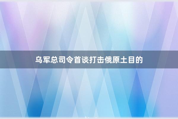 乌军总司令首谈打击俄原土目的