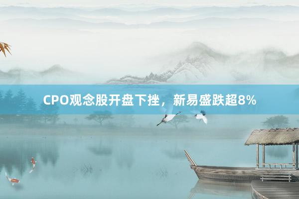 CPO观念股开盘下挫，新易盛跌超8%