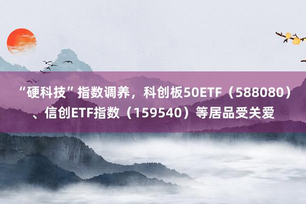 “硬科技”指数调养，科创板50ETF（588080）、信创ETF指数（159540）等居品受关爱