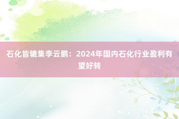 石化皆辘集李云鹏：2024年国内石化行业盈利有望好转