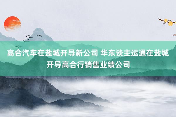 高合汽车在盐城开导新公司 华东谈主运通在盐城开导高合行销售业绩公司