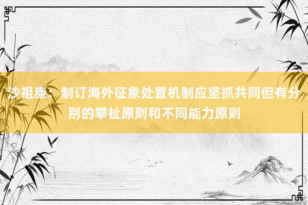 沙祖康：制订海外征象处置机制应坚抓共同但有分别的攀扯原则和不同能力原则